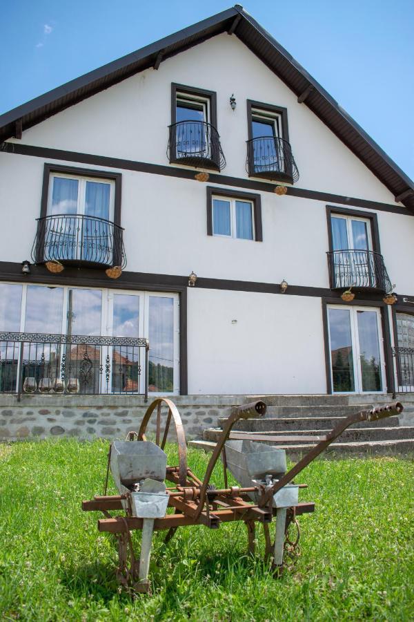 Casa Nevada Ξενοδοχείο Curtea de Argeş Εξωτερικό φωτογραφία